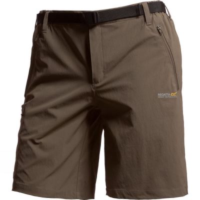 Pantalones Cortos Regatta Xert Stretch II Hombre Chocolate - Chile QUV879302